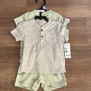 Carter's Gray and Green Dinosaur Baby Set